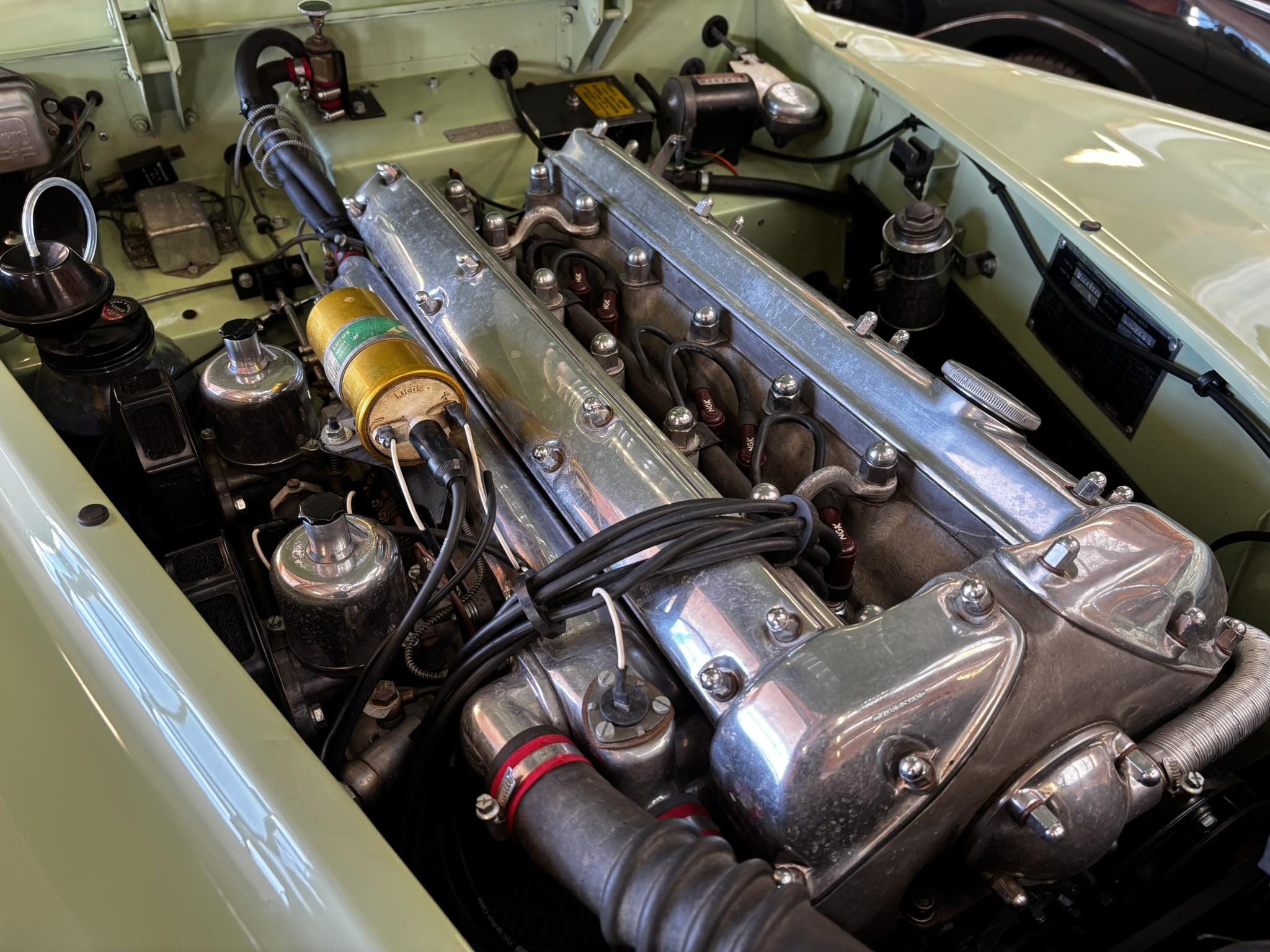 590070000_1427614032699314_6362609131457897359_n