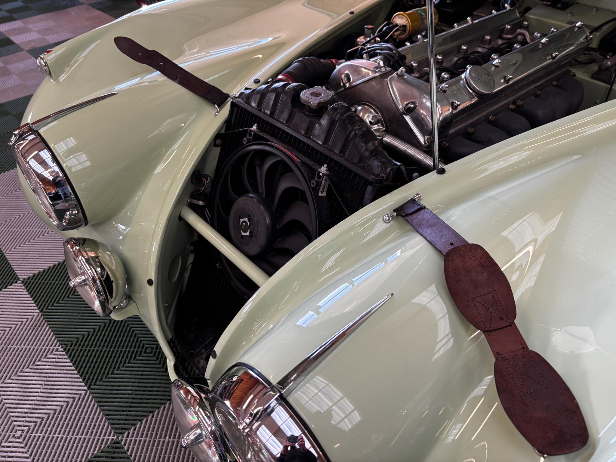 594595965_1427614252699292_2585117996695609284_n